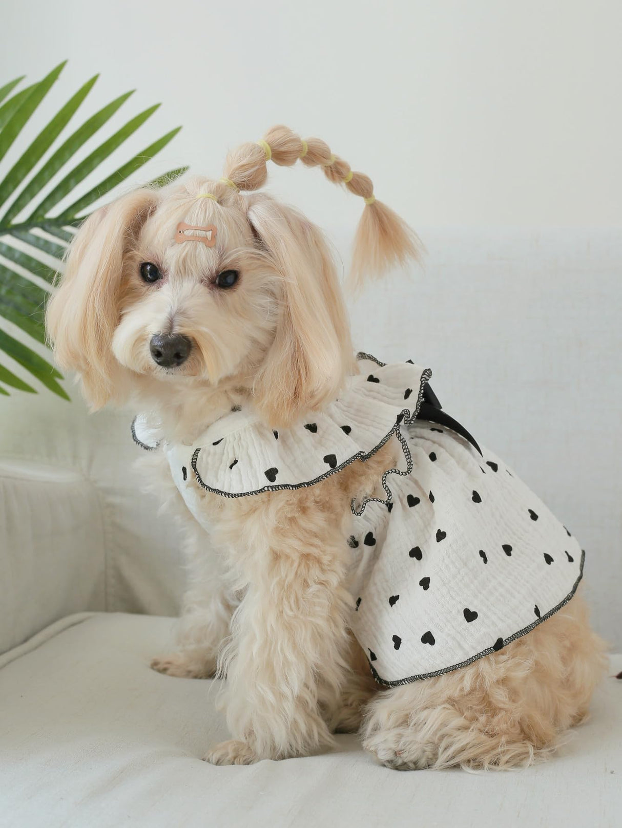 QWINEE 2pc Cute Heart Pattern Dog Dress Ruffle Trim Princess Dress Cat Vest Dress Lace Trim Summer Dress Pet Clothes for Small Medium Cats Dogs Kitten Puppy Black Multi Medium