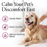 Jax N Daisy Don’t Let Your Dog Itch Lotion, 16 oz – Itch Relief for Dogs, Anti-Itch Skin Soother & Grooming Care
