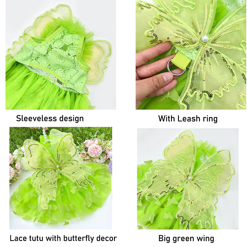 Anelekor Rainbow Butterfly Dog Dresses for Small Dog Girl Puppy Lace Tutu Princess Dress Cat Outfit Pet Butterfly Costume for Kitten Chihuahua Yorkie Pomeranian (Green, X-Large)
