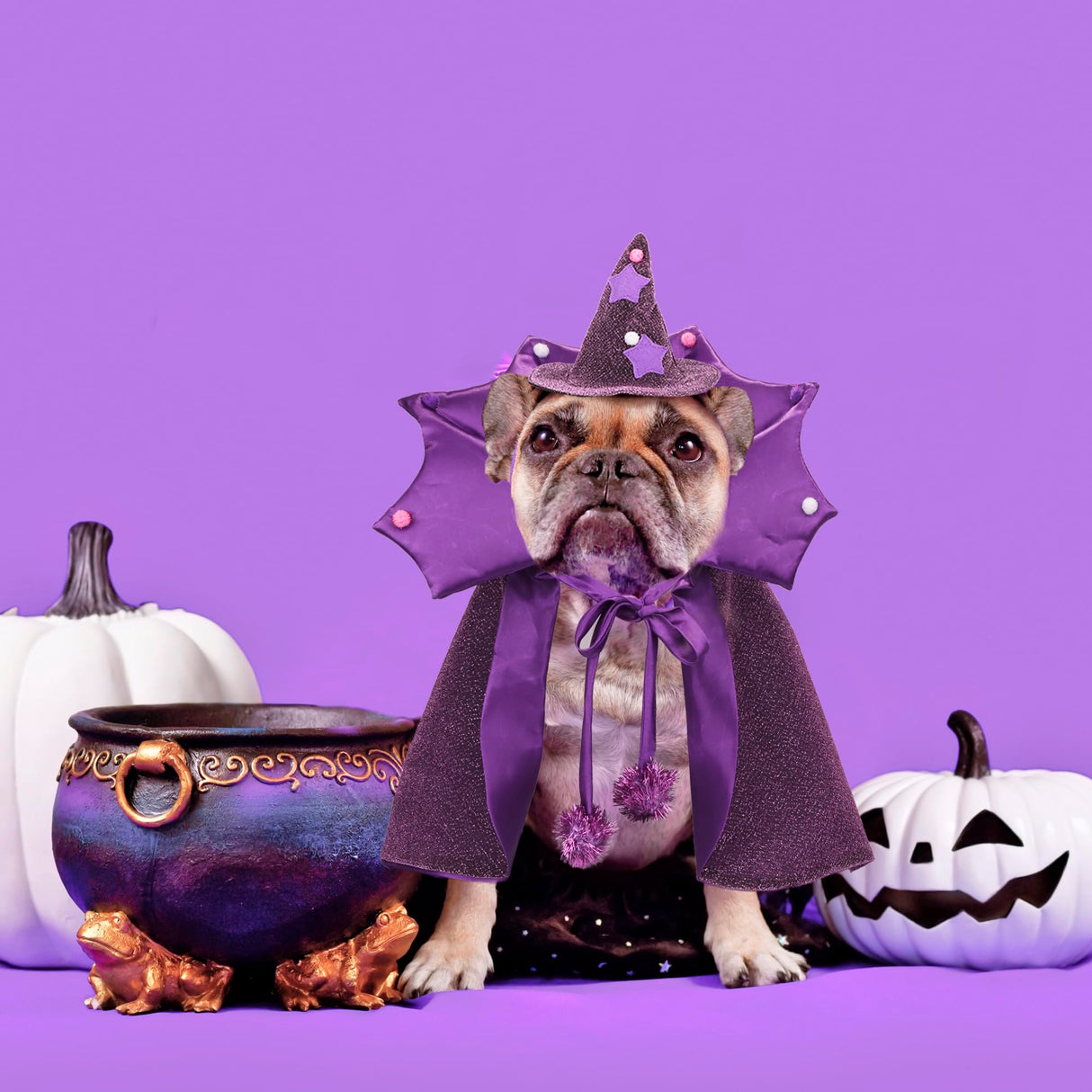 ADOGGYGO Halloween Dog Wizard Costume, Pet Cloak Cape Hat Set, Purple Halloween Costumes for Small Medium Dogs (Medium)