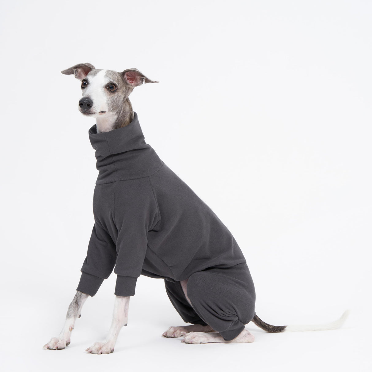 ESCCBOO Cozy Cotton Fluffy Underwear Onesie for Italian Greyhounds and Whippets, Super Soft Warm Pajamas and Jumpsuit(Large, Grey)
