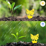 144 Pack Fruit Fly Traps Fungus Gnat Traps Yellow Sticky Bug Traps,Non-Toxic and Odorless for Indoor Outdoor Use Protect The Plant