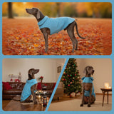 DENTRUN Reversible Dog Coat - Windproof Polar Fleece Vest with Reflective Neck Strips, Hook & Loop Closures, Easy-On Cold Weather Jacket for Medium Puppies (Medium Dogs Gear)
