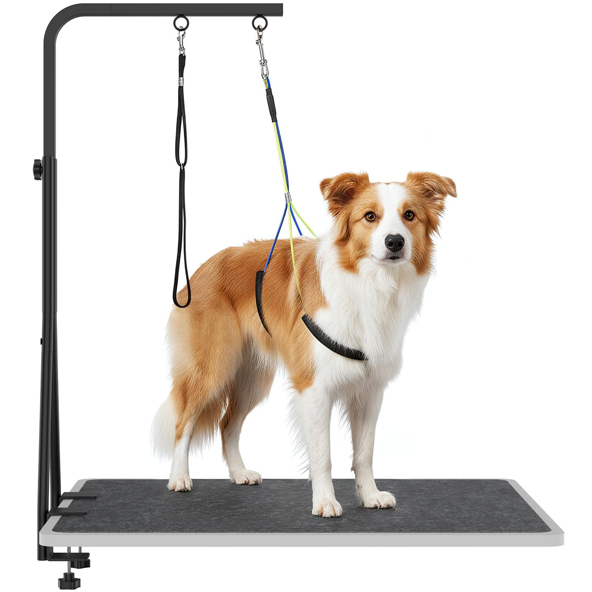 42" H Adjustable Height Dog Grooming Arm with double Clamp, Dogs Grooming Table Arm with Loop Noose and No Sit Haunch Holder, Perfect dog restraint for Small & Medium Dogs，Arm for Grooming Tables