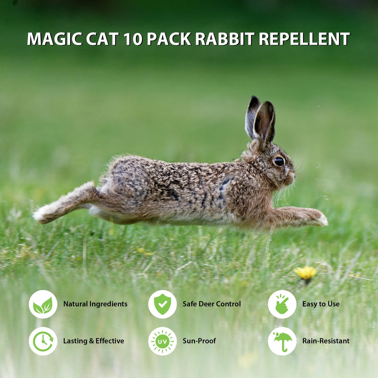 MAGIC CAT Rabbit Repellent Outdoor, 10 Pack Natural Peppermint Oil Deer and Rabbit Away Repellent for Plants Pet Family Safe, Rabbit Deterrent Deer Stopper to Keep Deer Bunny Out of Yard Garden Lawn