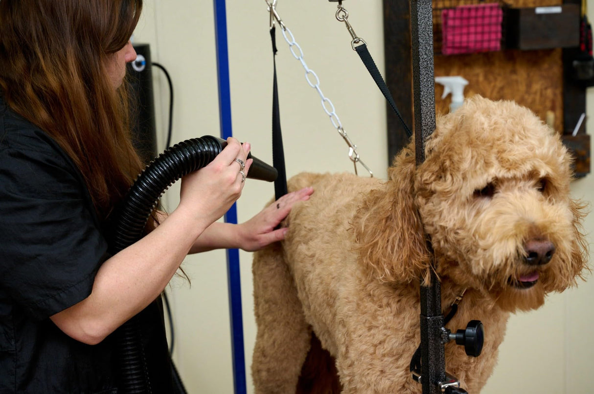 METROVAC MB-3V Air Force Master Blaster Pet Grooming Dryer | Variable Speed High Velocity Dog Hair Blower USA