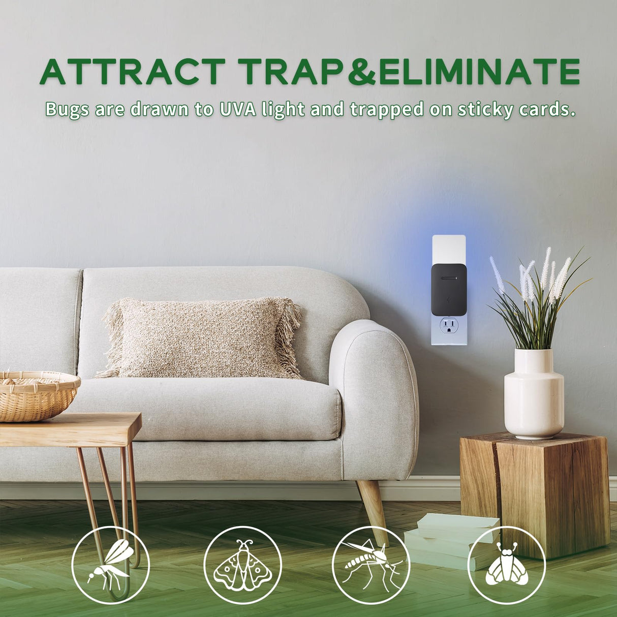 Carmelie Fly Trap Indoor, Fruit Fly Trap for Indoors, Plug-in Flying Insect Traps Catcher with Dimmable UVA Attract Night Light Mode, for House Flies Bugs Mosquito Pest, Black(2 Device+10 Glue Cards)