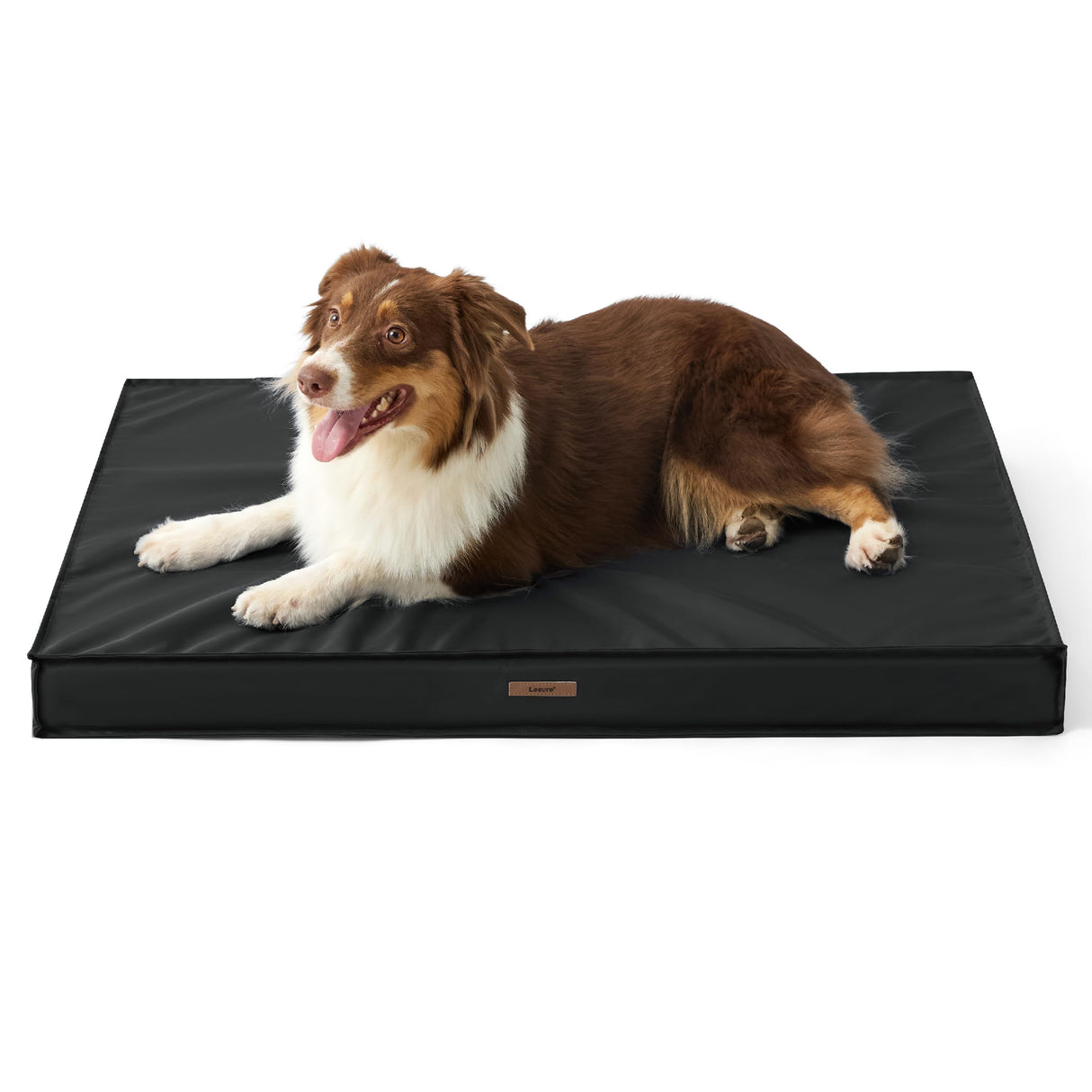 LE SURE Outdoor Waterproof Dog Bed for Medium Sized Dogs, Orthopedic Egg Crate Foam Pet Bed with Oxford Fabric Surface and Removable and Durable Cover, Machine Washable, 30''x20'', Black
