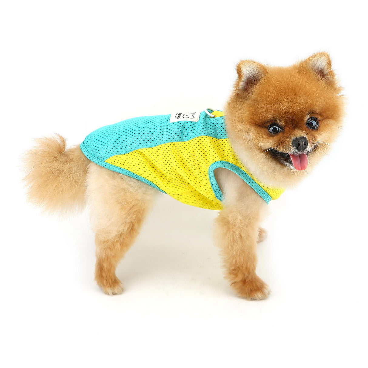 PAIDEFUL Breathable Mesh T-Shirt for Small Dogs Summer Doggie Cool Vest Soft Lightweight Puppy Tee Shirts Sleeveless Pet Tank Top Sweatshirts Cozy Chihuahua Clothes Cat Apparel D-Ring,Green,L