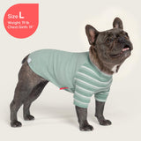 KYEESE 2Pack Waffle Dog Shirt with Sleeves, Lightweight Dog T Shirts for Small Medium Dogs Boy Girl, Breathable Pet Tee Shirts Soft Dogs Clothes for Daily Wear, Green+Striped, XL