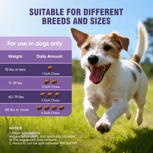 Load image into Gallery viewer, Dog Allergy Chews 200ct - Dog Allergy and Itching Skin Relief Anti Itch Aller Immune Bites for Dogs licking Paws Treatment Relief Itchy Chew Probiotics Vitamins for Skin and Coat Allergies - Chicken
