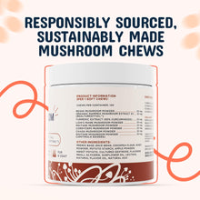 Load image into Gallery viewer, Turkey Tail Mushroom for Dogs with Organic Real Turkey Tail™ - 8:1 Extract Mushroom Chews for Lumps &amp; Bumps, Immunity, Gut, Skin, Joint &amp; Spine Support - Reishi, Lion’s Mane - 120 Soft Chews
