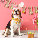 40 Pcs Easter Dog Bow Ties Set 26 Easter Gifts Pet Bowties 10 Pet Ties 4 Puppy Bandanas Dog Grooming Accessories for Bunny Cat Puppy (Egg Style)