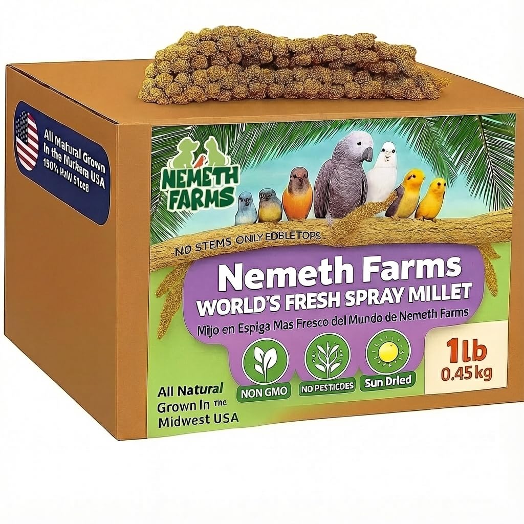 Nemeth Farms 1lb Premium Spray Millet for Exotic Birds – Grown in The USA – 100% Natural & Non‑GMO Bird Treat – Sun‑Dried Millet for Parakeets, Conures, Cockatiels, Parrots & Budgies