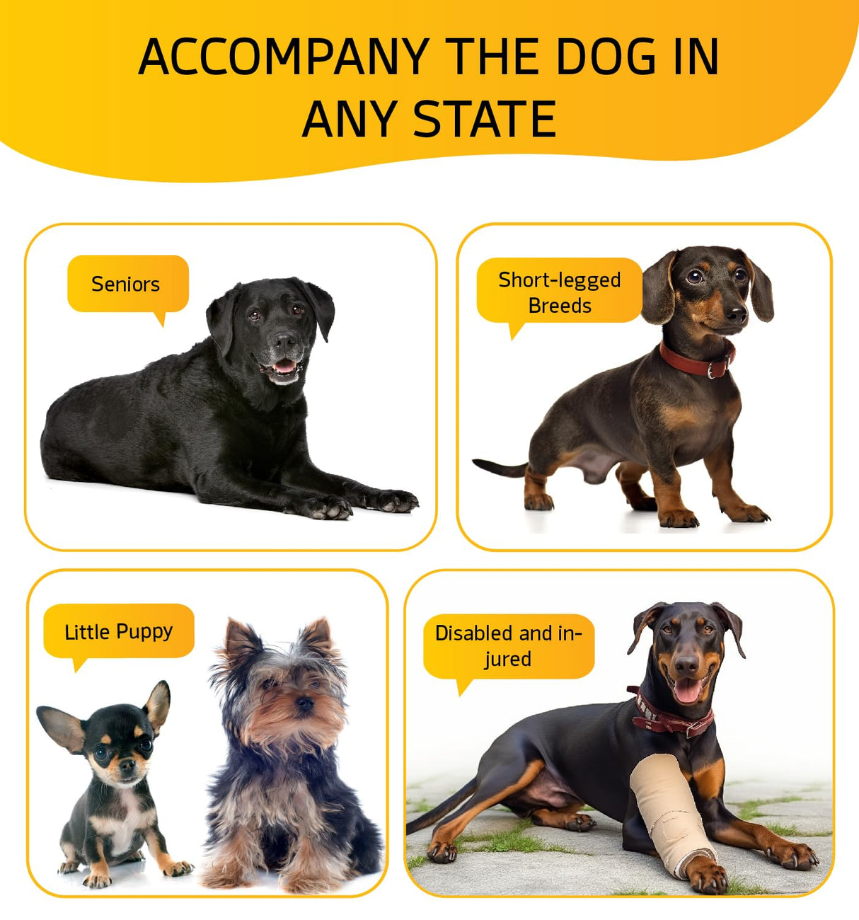 Dog Stairs for Small Dog Steps for Bed Ramps Stairs Extra Wide Steps for Bed Foam Stairs for Couch Sofa 35D Strong Support Pet Stairs Non-Slip Bottom Pet Steps to Get on Bed, Grey, 3 Steps