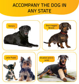 Dog Stairs for Small Dog Steps for Bed Ramps Stairs Extra Wide Steps for Bed Foam Stairs for Couch Sofa 35D Strong Support Pet Stairs Non-Slip Bottom Pet Steps to Get on Bed, Grey, 3 Steps