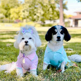 Blueberry Pet Back to School 2-Pack Prep School Style Dog Polo Shirts | Cotton Outfit for Small Pets in Pastel Pink + Blue, Back Length 14 inch