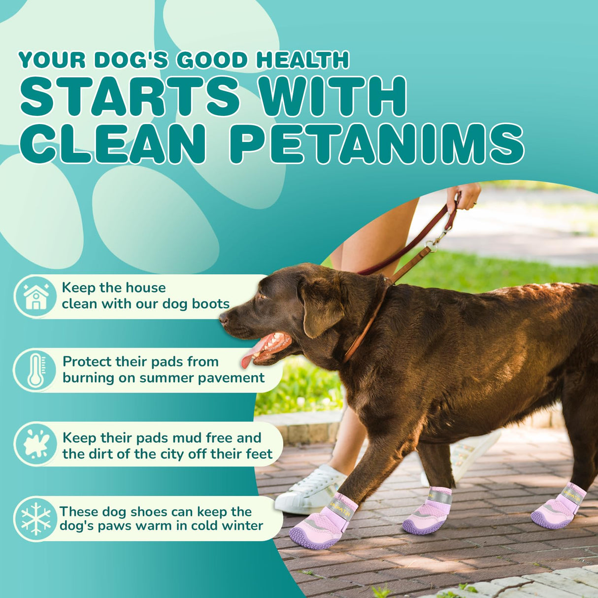 Petanims Dog Shoes for Large Dogs, Medium Dog Boots & Paw Protectors for Winter Snow, Breathable Dog Booties for Hot Pavement, Hardwood Floors Purple Size 6