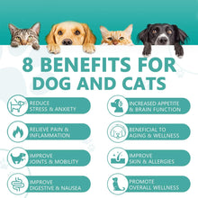 Load image into Gallery viewer, Max Potency Hemp Oil for Dogs &amp; Cats - Help Anxiety Stress Pain Inflammation Arthritis Aggressive Relax Sleep Allergies Seizures Relief - Treats Chews Joint &amp; Hip - Organic Pet Calming Drops - Non-GMO
