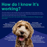 Vetrinex Labs Probiotic - Coprophagia Treatment for Dogs - Stop and Prevent Dog from Eating Poop - No Stool Eating, Deterrent and Prevention - Probiotics Powder for Cats, Dogs & Puppies