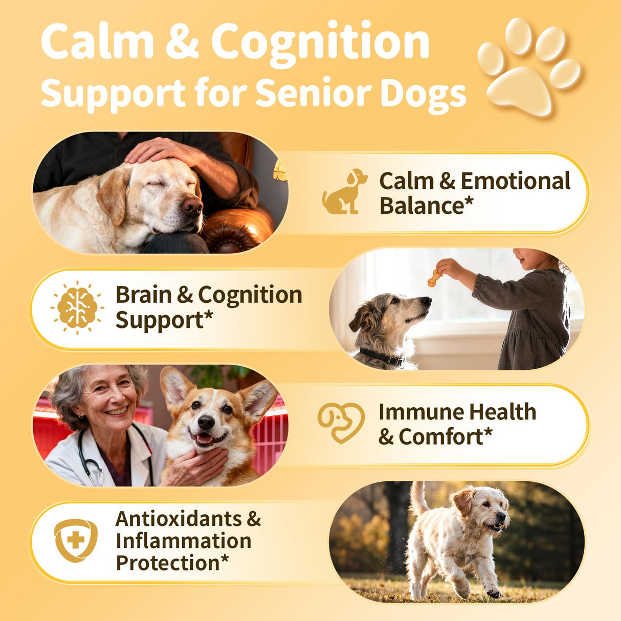 POPPAW Advanced Calming Chews for Dogs-Brain & Composure Support with 7 Mushrooms, Ashwagandha, Omega-3 DHA & EPA, Anxiety Relief Dog Calming Treat, All Breeds & Sizes, Chicken Flavor, 135Ct
