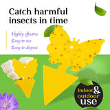 Fruit Fly and Gnat Traps | Great for Indoors and Outdoors | Also for Ants, Moths, Spiders, Flies | Easy to Use | Easy to Dispose