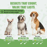Dog Dental Powder, Dog Teeth Cleaning Powder, Dog Tartar and Remover with Probiotics and Natural Herbal Blend of All Breeds and Ages Mint -150 Grams
