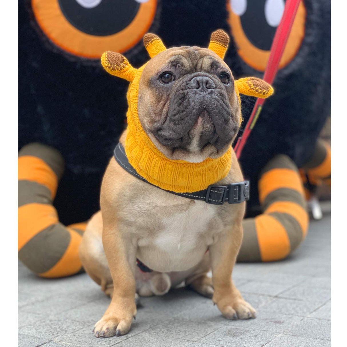 iChoue Dog Yellow Giraffe Knitted Snood Ear Muffs Calming Hoodie Anxiety Relief Noise Canceling Headband Protection Cover Hood - Large