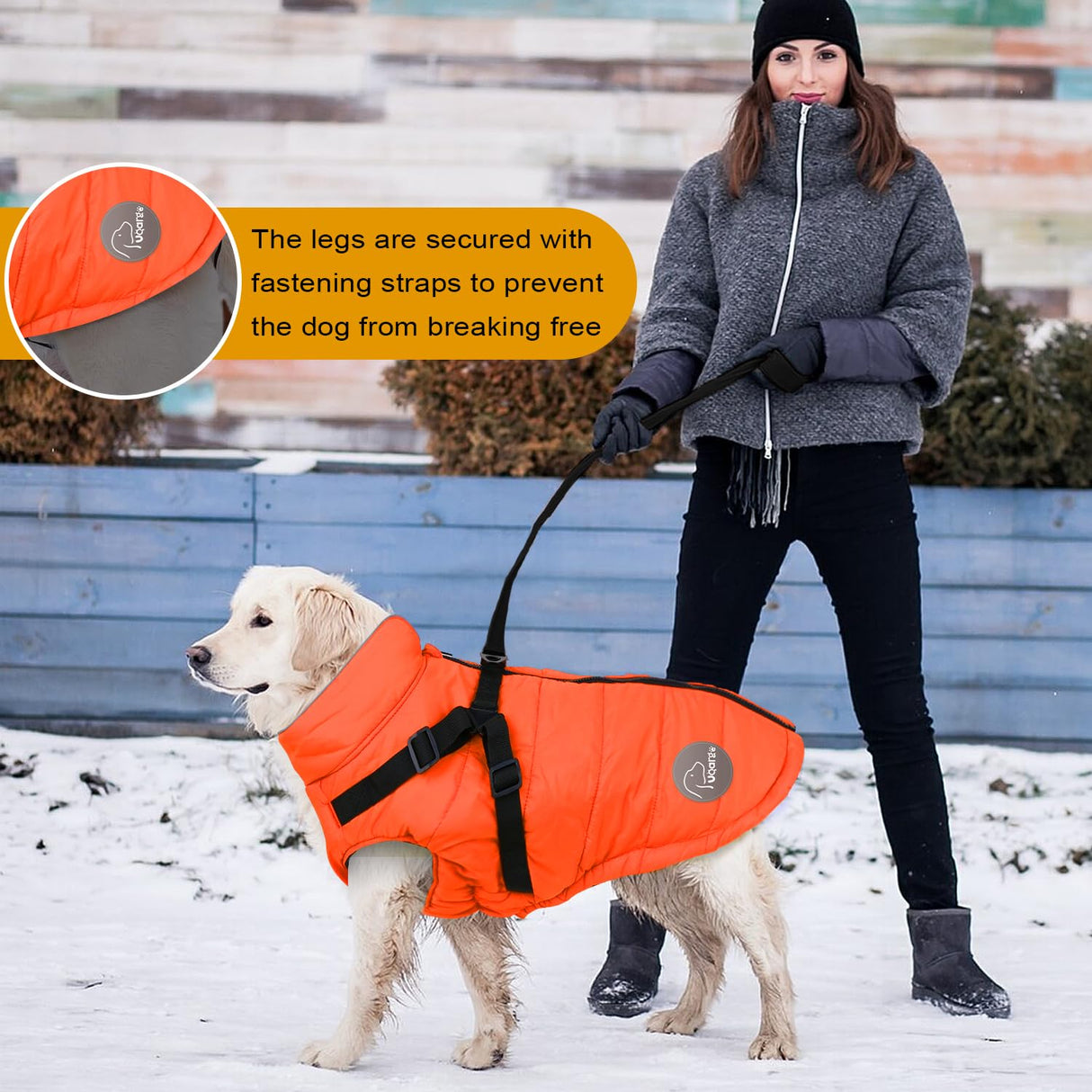ANNICOO Warm Dog Winter Coat,Waterproof Dog Jacket with Built-in Harnes (Black, XL)