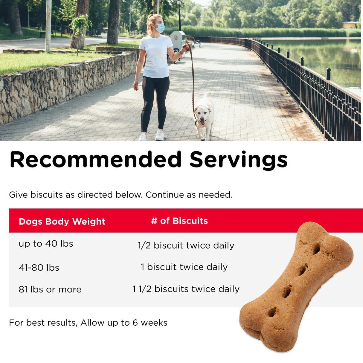Nutri-Vet Hip & Joint Biscuits for Dogs, Dog Hip & Joint Supplement, Functional Treat, Large Sized Biscuit, 300mg of Glucosamine, 6 lb Bag