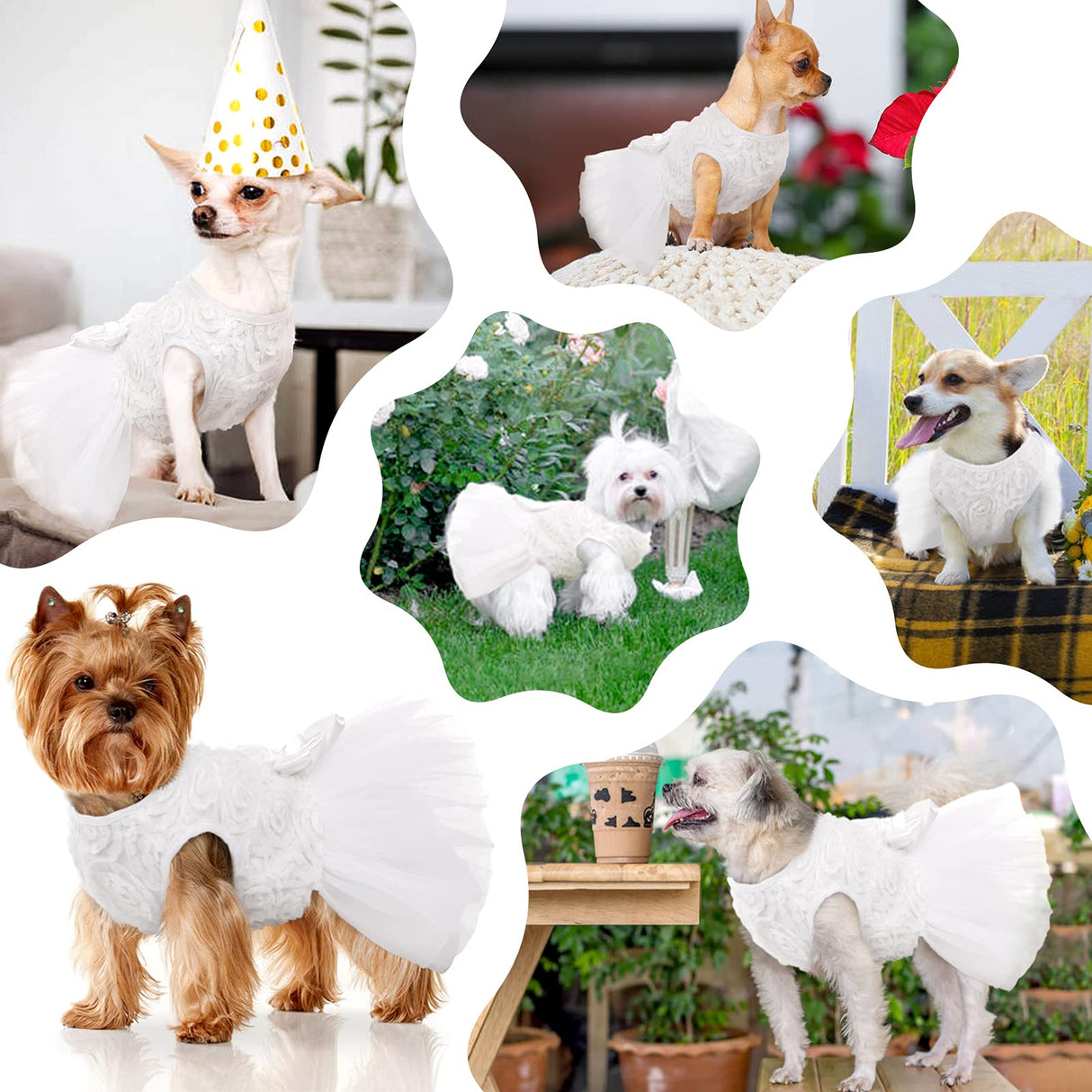 IDOMIK Dog Wedding Dress Puppy Bowknot Princess Skirt, Pet Bride Pure White Lace Tutu Formal Dress Flower Bubble Skirt Tulle Ruffle Sundress Vest Shirts,Birthday Party Costume for Small Dog Apparel XS