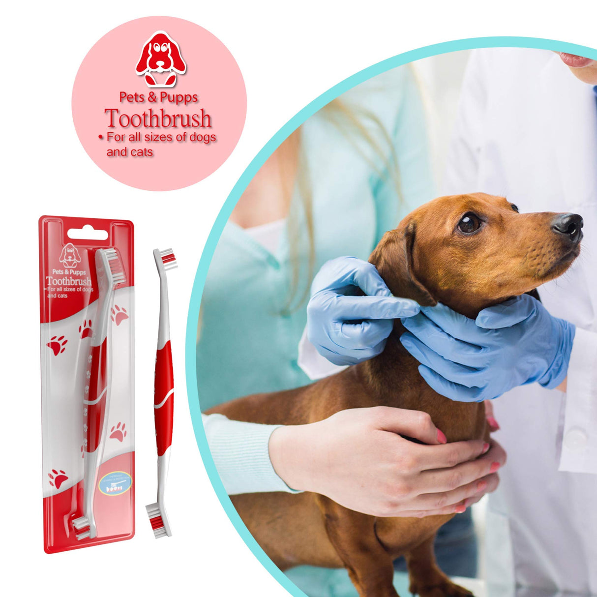 Pet Toothbrush for Dogs, Cats with Soft Bristles - Easy Teeth Cleaning & Dental Care, Non Slip Dual Head Dog Toothbrush for Medium & Large Pets, Toothpaste Not Included, Pack of 4