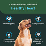 VETRISCIENCE Veterinary Strength Healthy Heart Chews - Heart & Energy Supplement for Pets - Cardiovascular Supplement - Pet Blood Flow Support - Chicken Flavor - 60 Count