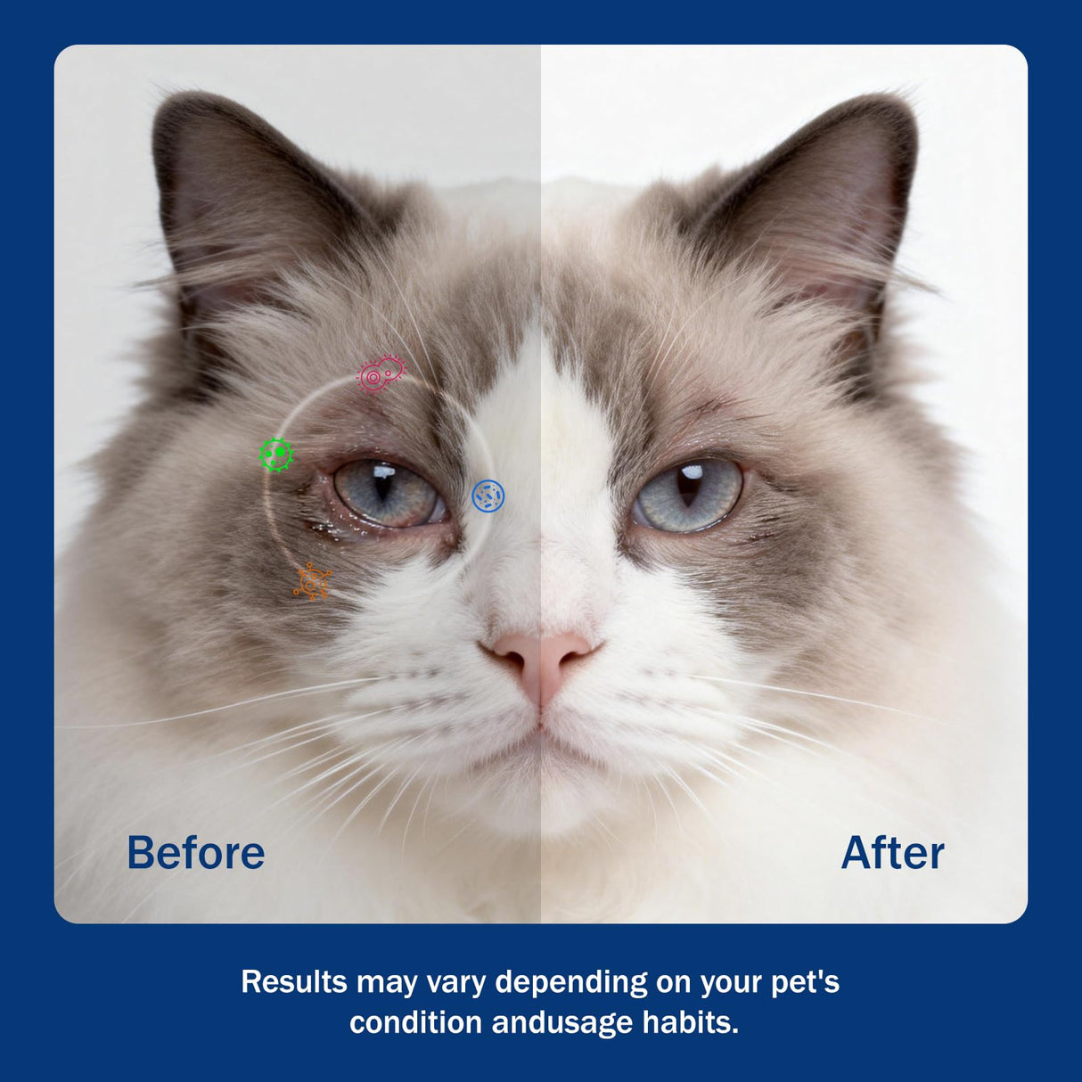 PKperekond Pet Eye Cream for Cats, Dogs, Cattle, Horses, Sheep, Birds and Kitten, Puppies, 1/8 oz (3.5 g) - 1 Tube