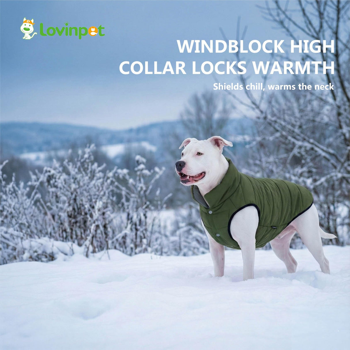 LovinPet Reversible Dog Puffer Coat for Medium & Large Dogs, Down‑Insulated Winter Jacket, Water‑Resistant & Wind‑Resistant, Anti‑Static, Dual-Sided Dark Green & Grey for Cold Weather,2XL