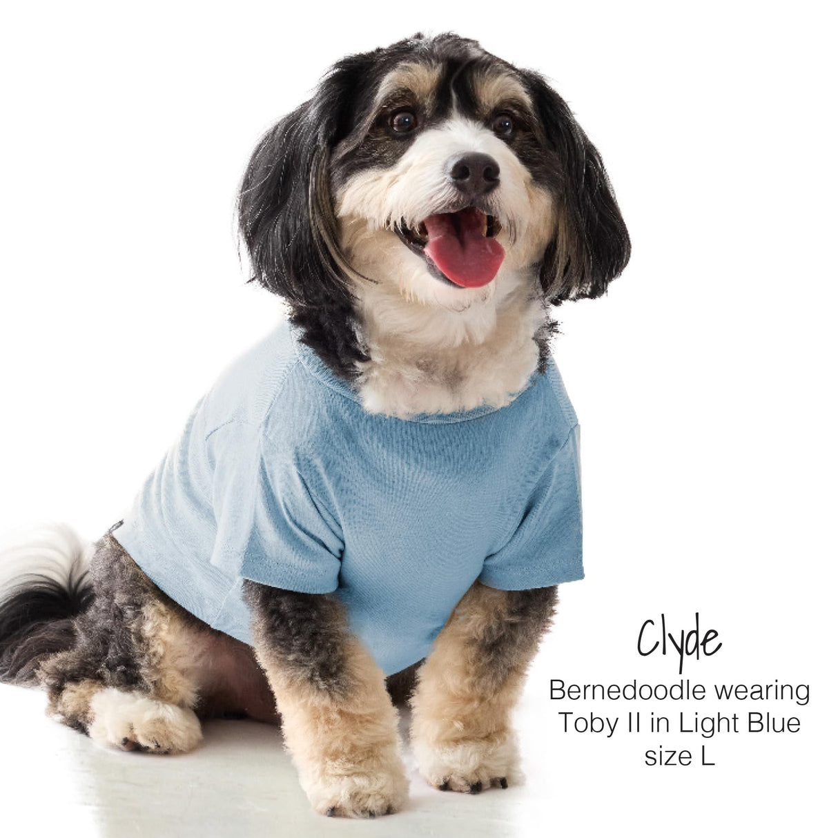 Pet Passion Toby II - The Perfect Tee, 3 Pack Short Sleeve Pet T-Shirt 100% Organic Cotton Tees Clothes for Small, Medium, Large Dogs, Navy Camo, Small (10-25 lbs)