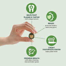 Load image into Gallery viewer, Ark Naturals Soft Brushless Toothpaste, Dog Dental Chews for Small Breeds, Freshens Breath, Unique Texture Helps Reduce Plaque &amp; Tartar, 12oz, 1 Pack
