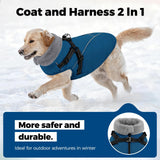 Queenmore Dog Coat,Windproof Dog Coat for Medium Dogs,Dogs Jackets with Harness Built in,Waterproof Doggy Coats with Zipper On Back,Reflective Cold Weather Coats for Dachshund，Boston Terrier,Blue,M