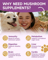 NaSeny Mushroom for Dogs & Cats - Turkey Tail for Dogs - 10 Organic Mushroom Supplement with Turkey Tail, Reishi, Lions Mane - Lumps & Bumps, Immunity, Gut, Skin, Joint Health - Chicken Flavor