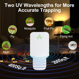 Gnat Traps for House Indoor, Fly Trap Indoor for Fruit Flies, Gnat, Moth, Mosquito, and Other Flying Insects - 2 Devices + 12 Glue Boards, Two Modes Protect 400 Sq Ft for Home
