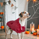 SCENEREAL Fleece Dog Sweaters Hoodie for Small Medium Large Dogs Girls Boys, Plush Fuzzy Dog Clothes Hoodies with Leash Hole, Winter/Fall Puppy Cold Weather Coat, Sherpa Hooded Sweatshirt, Burgundy SM