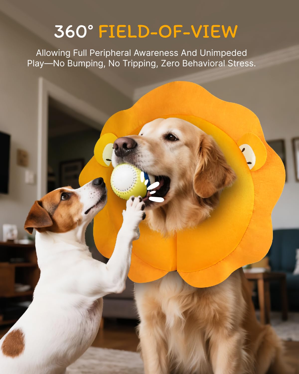 MIDOG Dog Cone Collar for Large Medium Dogs, Soft Inflatable Dog Cone Alternative After Surgery, Adjustable Protective Recovery Cone - Alternative E Collar Does Not Block Vision (Lion,XL)