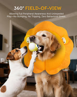 MIDOG Dog Cone Collar for Large Medium Dogs, Soft Inflatable Dog Cone Alternative After Surgery, Adjustable Protective Recovery Cone - Alternative E Collar Does Not Block Vision (Lion,XL)