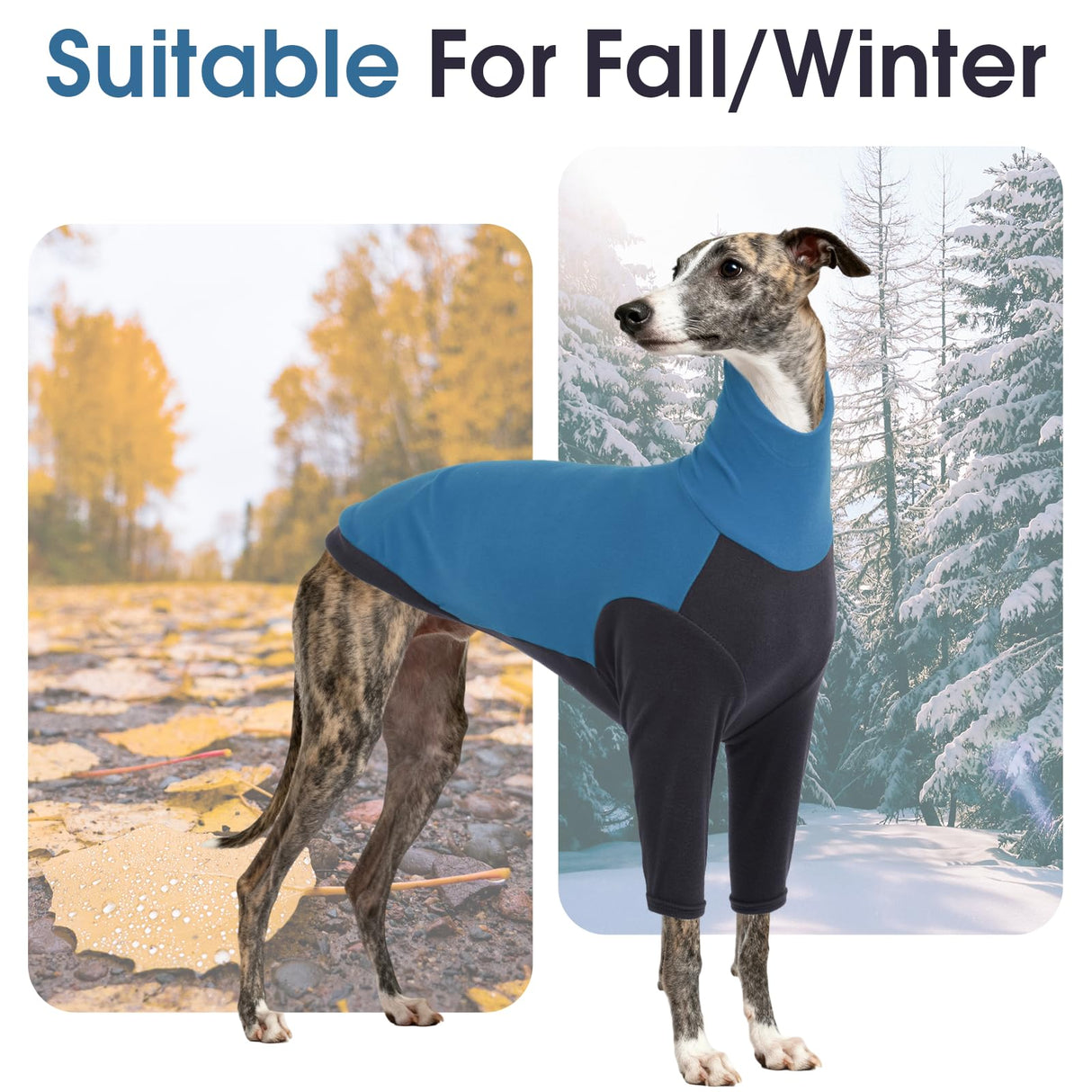DENTRUN Greyhound Dog Sweatshirt, Fleece Turtleneck Jumper for Greyhounds & Whippets - Warm Knitted Sweater for Lurchers, Italian Greyhounds, Salukis (XL, Blue)