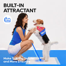 Load image into Gallery viewer, Honey Care All-Absorb, Small 17.5" x 23.5", 120 Count, Dog and Puppy Training Pads, Ultra Absorbent and Odor Eliminating, Leak-Proof 5-Layer Potty Training Pads with Quick-Dry Surface, Blue, A05
