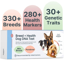 Load image into Gallery viewer, Basepaws Dog DNA Testing Kit - 330+ Breeds, 280+ Health Risks, and 30+ Traits - Comprehensive Mixed Breed Identification, Pet DNA Test kit, Canine Genetic Ancestry and Heritage
