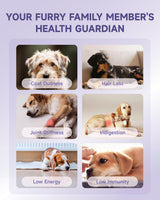 Collagen for Dogs - Dog Collagen Drops with Glucosamine, MSM, Biotin, VitaminC & E, Coconut Oil - Hip & Joint Supplement for Dog, Skin Coat Health, Gut & Immune Health, 60ml Collagen Drops for Dogs