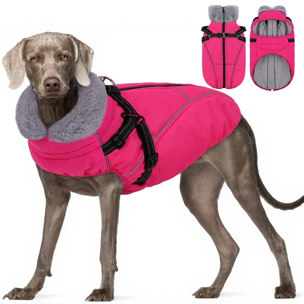 Preferhouse XXL Dog Winter Coat, Dog Puffer Jacket with Harness Built in, Pet Windproof Cold Weather Vest with Zipper Dogs Snowsuit, Rose 2XL