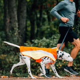 Ruffwear, Lumenglow High-Vis Dog Vest, Reflective Jacket with Water-Repellent Shell, Harness-Compatible Leash Portal, Side-Release Buckles, Back Light Attachment Loop, Blaze Orange, Medium