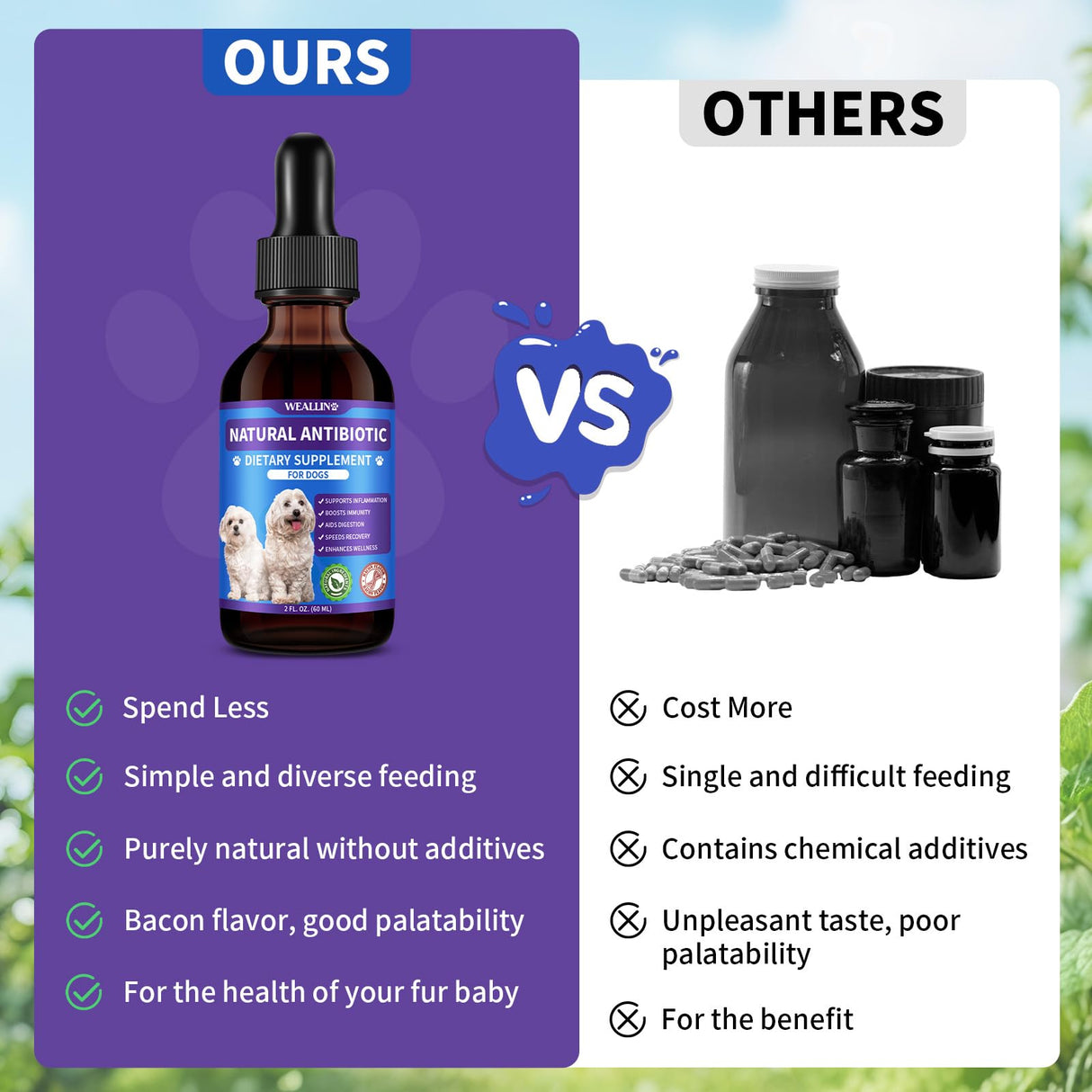 Dog Antibiotics Support - Natural Antibiotics Care for Dogs Herbal Supplement for Cough Allergy Itch Relief Immune Support Dog UTI Comfort for All Breeds & Ages - 60 ml/2 Fl Oz Bacon Flavor